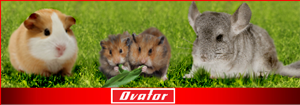 ovator, mifuma